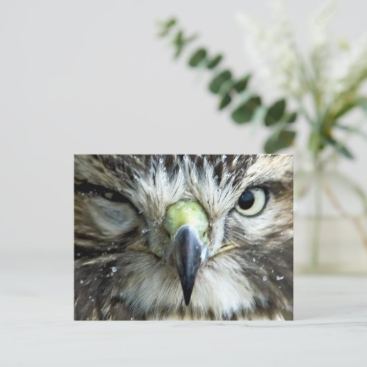 Postkarte des Raptors (Stehend Vorderseite)