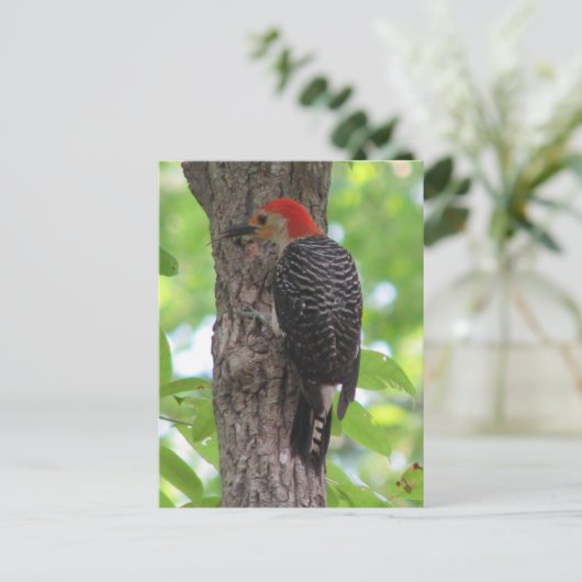 Postkarte des Roten Bösen (Stehend Vorderseite)