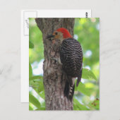 Postkarte des Roten Bösen (Vorne/Hinten)