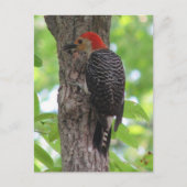 Postkarte des Roten Bösen (Vorderseite)