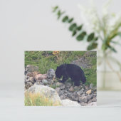 Postkarte des schwarzen Bärenkuchens (Stehend Vorderseite)