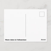 Postkarte des schwarzen Bärenkuchens (Rückseite)