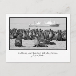 Postkarte des Siegels Kolonie