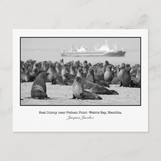 Postkarte des Siegels Kolonie (Vorderseite)