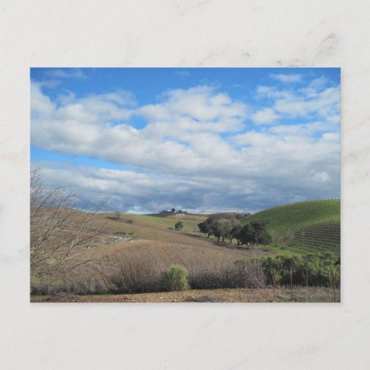 Postkarte des Weingutes Paso Robles im Januar (Vorderseite)