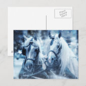 Postkarte des Weißen Pferdes (Vorne/Hinten)