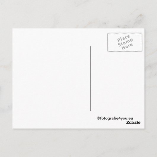 Postkarte des wilden Konik (Rückseite)