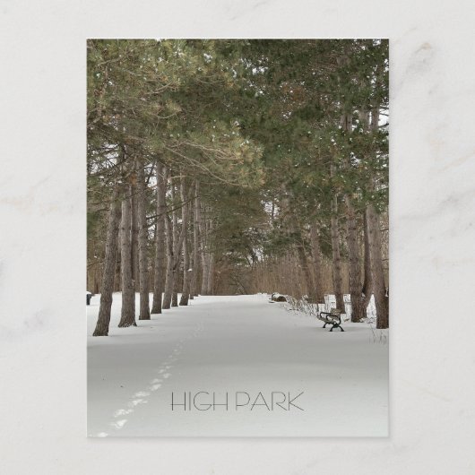 Postkarte des Winters im Hochland von Toronto (Vorderseite)