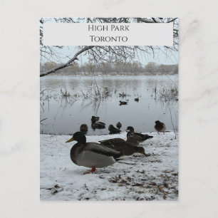 Postkarte des Winters im Hochland von Toronto