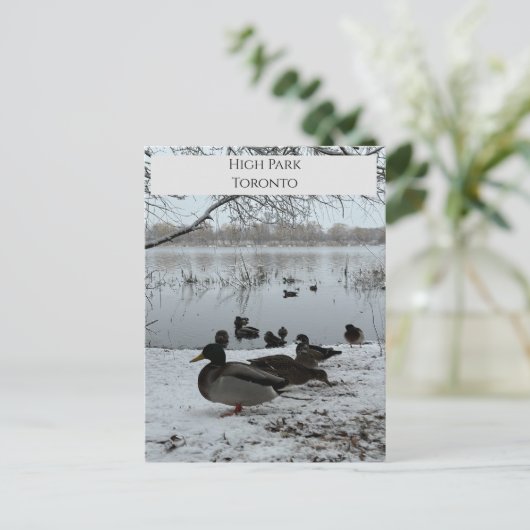 Postkarte des Winters im Hochland von Toronto (Stehend Vorderseite)