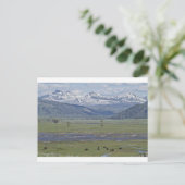 Postkarte des Yellowstone-Nationalparks (Stehend Vorderseite)