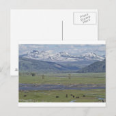 Postkarte des Yellowstone-Nationalparks (Vorne/Hinten)
