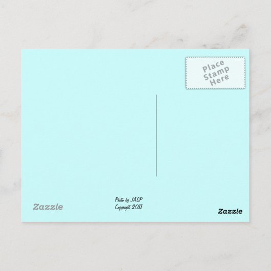 Postkarte des Zedar Waxwing (Rückseite)