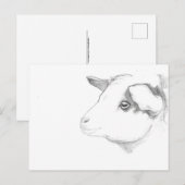 Postkarte des Ziegenprofils von Nicole Janes (Vorne/Hinten)