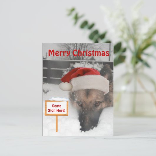 Postkarte Deutscher Hirte Santa Stopp hier Untersc (Stehend Vorderseite)