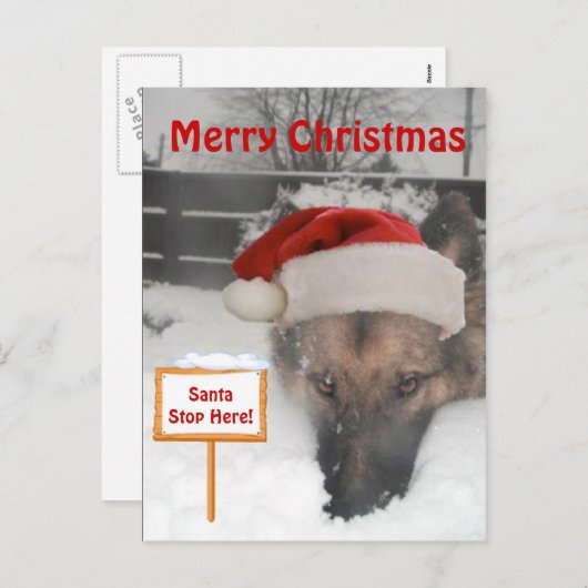 Postkarte Deutscher Hirte Santa Stopp hier Untersc (Vorne/Hinten)