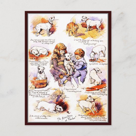 Postkarte: Die Abenteuer des Hundes Pincher Postkarte (Vorderseite)