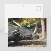 Postkarte _ Dinosaurier _ Triceratops (Vorne/Hinten)