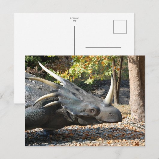 Postkarte _ Dinosaurier _ Triceratops (Vorne/Hinten)
