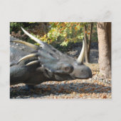 Postkarte _ Dinosaurier _ Triceratops (Vorderseite)