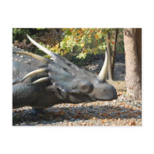 Postkarte _ Dinosaurier _ Triceratops