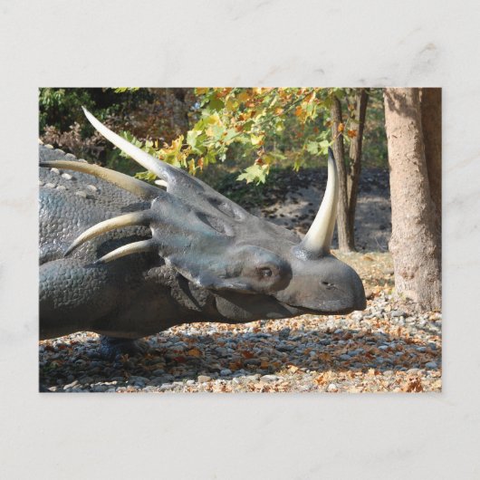 Postkarte _ Dinosaurier _ Triceratops (Vorderseite)