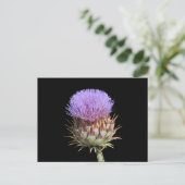 Postkarte - Distel (Stehend Vorderseite)