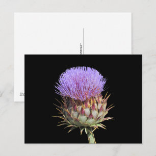 Postkarte - Distel