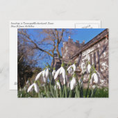 Postkarte Dorsets Snowdrops (Vorne/Hinten)