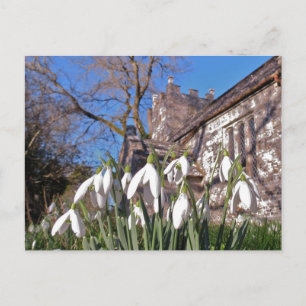 Postkarte Dorsets Snowdrops