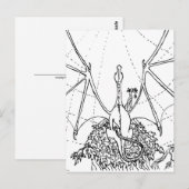 Postkarte - Drachenflügel (Vorne/Hinten)
