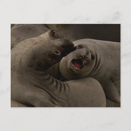 Postkarte E-Siegel (Vorderseite)