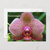 Postkarte - Earth Star (Vorne/Hinten)