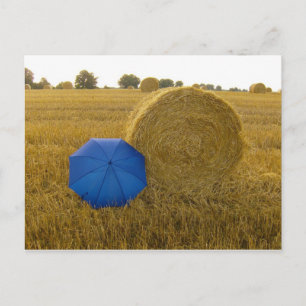 Postkarte - ein ungleiches Paar