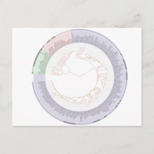 Postkarte Eine phylogenetische Struktur des Lebens