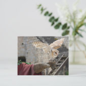 Postkarte einer Eule (Stehend Vorderseite)