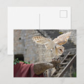 Postkarte einer Eule (Vorne/Hinten)