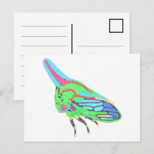 Postkarte (einzelne weiße) - Eichen-Zikade