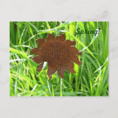 Postkarte - Eisen Sonnenblume im Gras (Vorderseite)