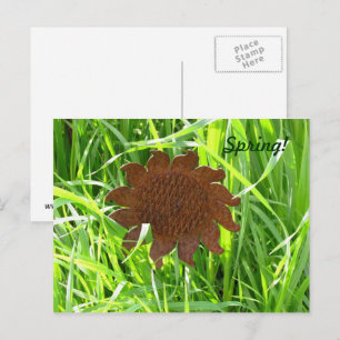 Postkarte - Eiserne Sonnenblume im Gras