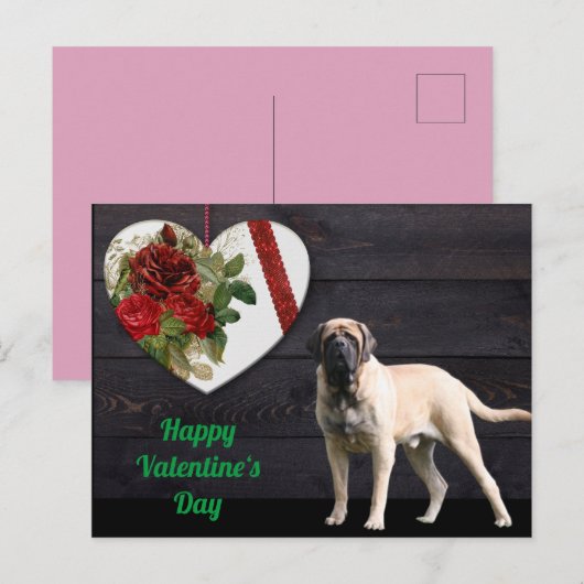 Postkarte English Mastiff Valentinstags  (Vorne/Hinten)