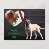 Postkarte English Mastiff Valentinstags  (Vorderseite)