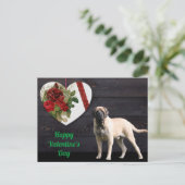 Postkarte English Mastiff Valentinstags  (Stehend Vorderseite)