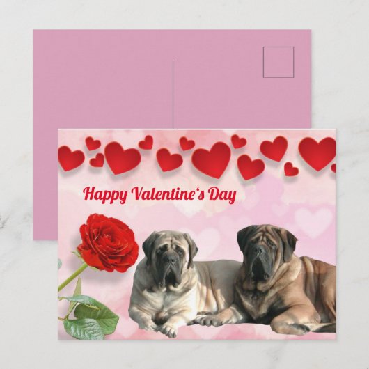 Postkarte English Mastiff Valentinstags  (Vorne/Hinten)