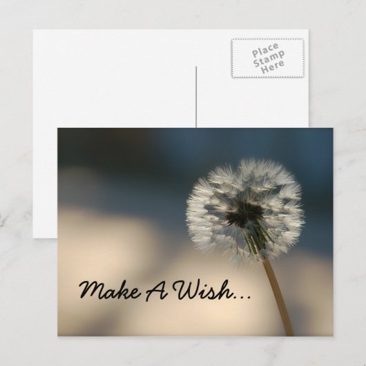 Postkarte erstellen (Vorne/Hinten)