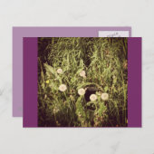 Postkarte erstellen (Vorne/Hinten)