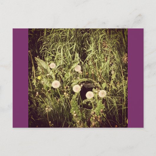 Postkarte erstellen (Vorderseite)