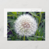 Postkarte erstellen (Vorne/Hinten)