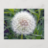 Postkarte erstellen (Vorderseite)