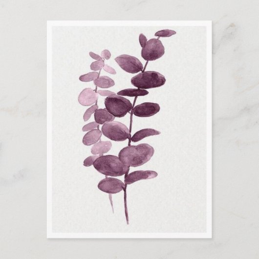 Postkarte - Eukalyptus Wasserfarben (Vorderseite)